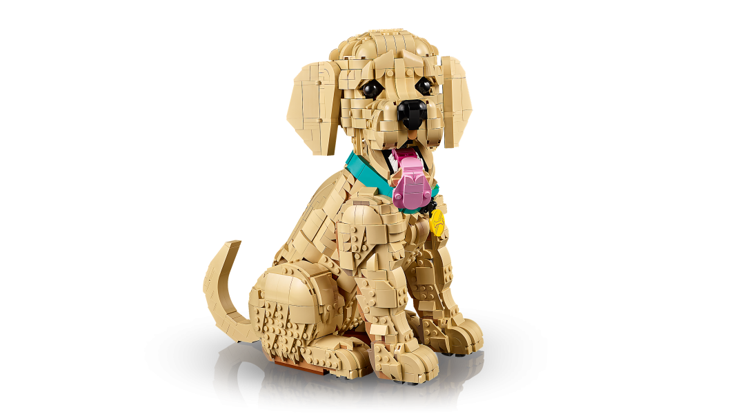 LEGO Icons Golden Retriever Puppy | 11384