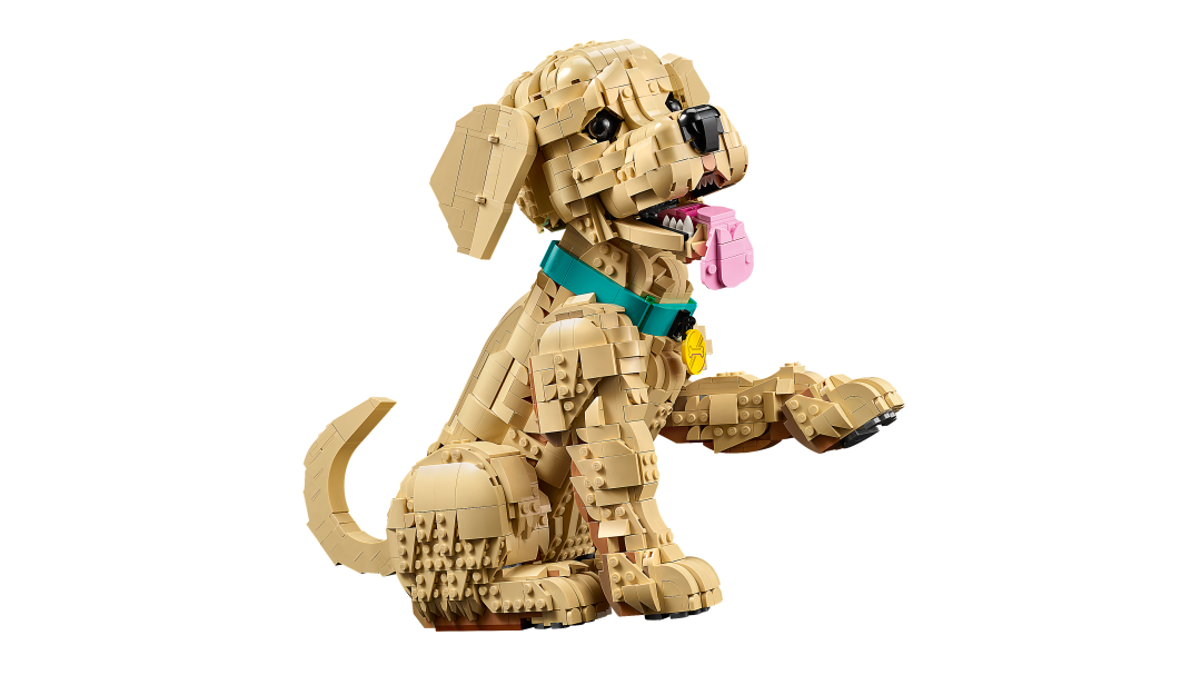LEGO Icons Golden Retriever Puppy | 11384