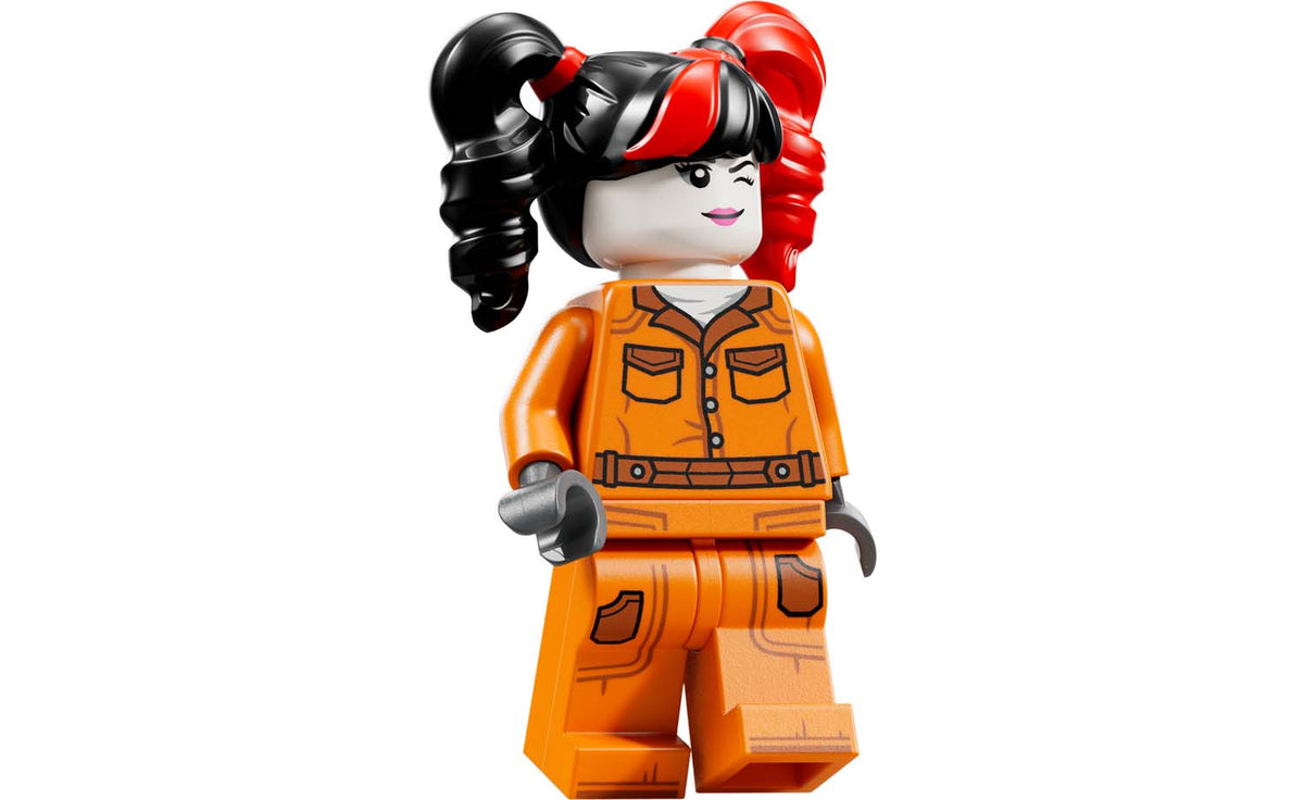 LEGO DC Arkham Asylum | 76300