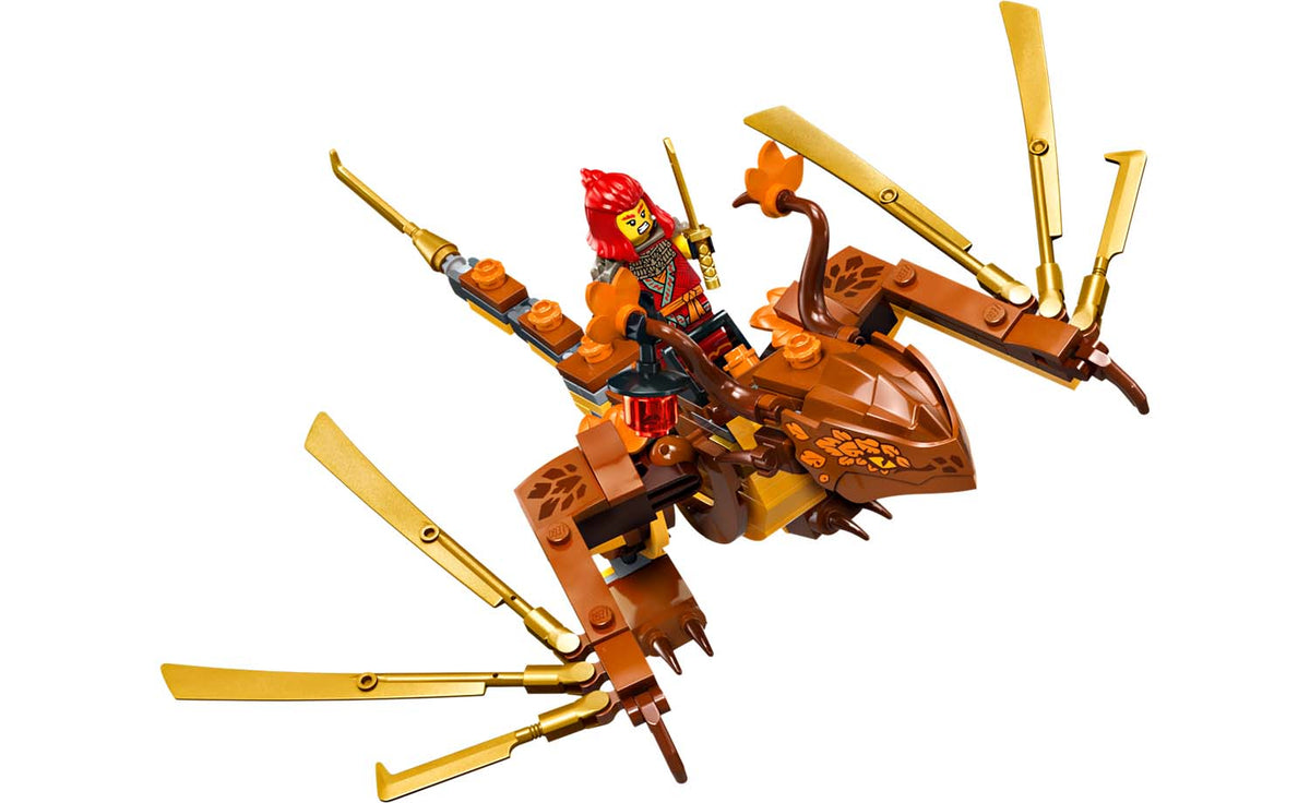 LEGO NINJAGO Tournament Temple City | 71814